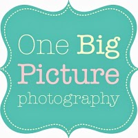 One Big Picture Photography 1095537 Image 4